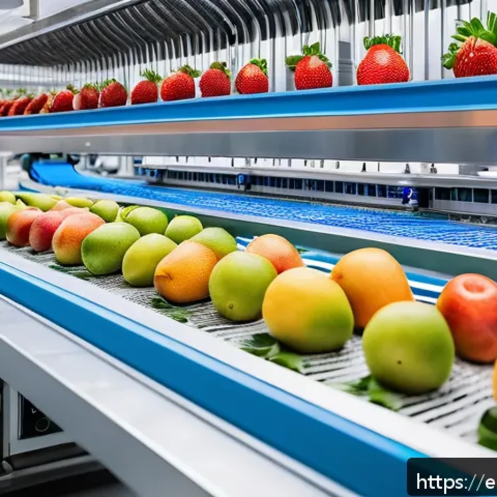 건조 식품의 역사적 배경과 발전 과정 - A modern food processing facility in Spain featuring advanced robotic automation for dehydrating fru...