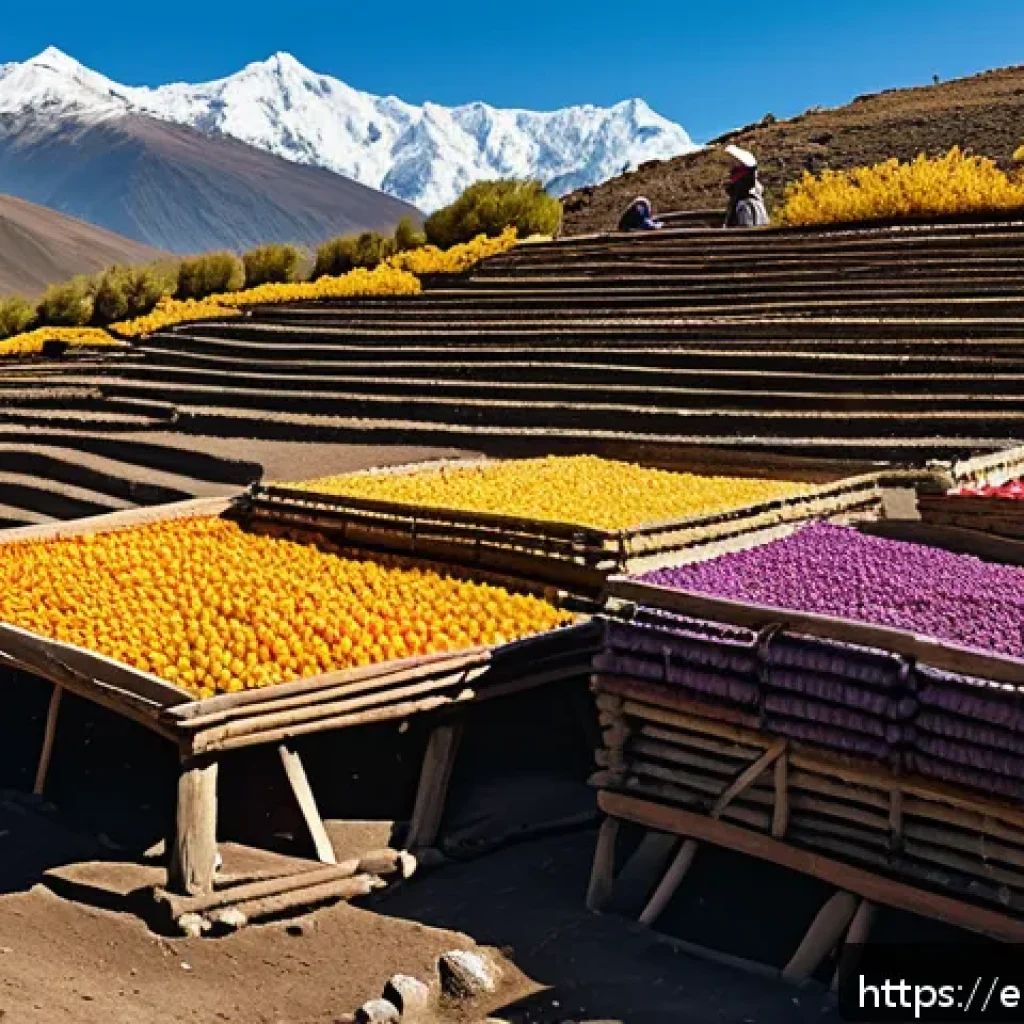 건조 식품 제조의 문화적 배경 탐구 - A traditional Andean outdoor scene at high altitude with indigenous farmers drying colorful potatoes...